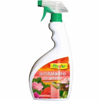 Insecticida-antitrepant-gerani-flower