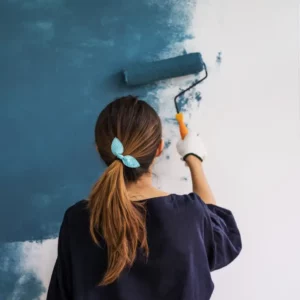 Categoria de producto Pinturas