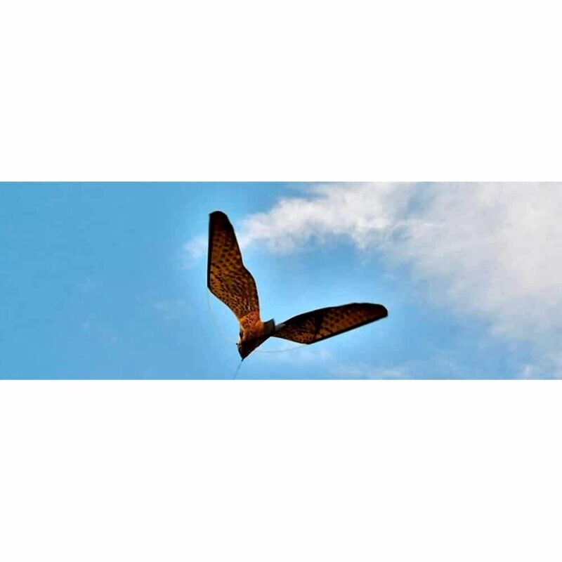 Stopgull falcon para asustar pájaros en yates, instalaciones portuarias y embarcaciones, anti gaviotas y aves costeras