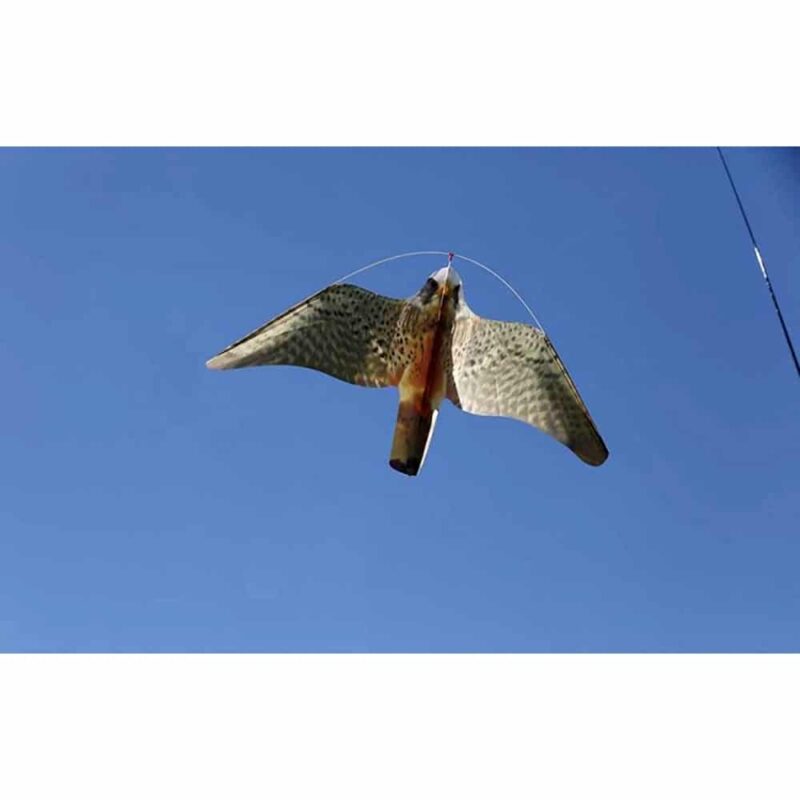 Stopgull falcon para asustar pájaros en yates, instalaciones portuarias y embarcaciones, anti gaviotas y aves costeras