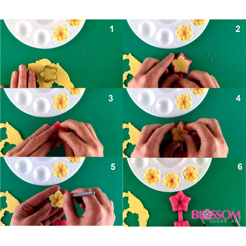 Cortador de galletas en forma de petunia con texturizador para repostería